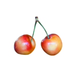 OLT Juice - Image 2